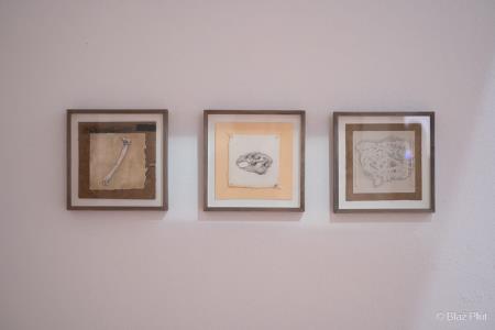 Sreda, 14. avgust (11)